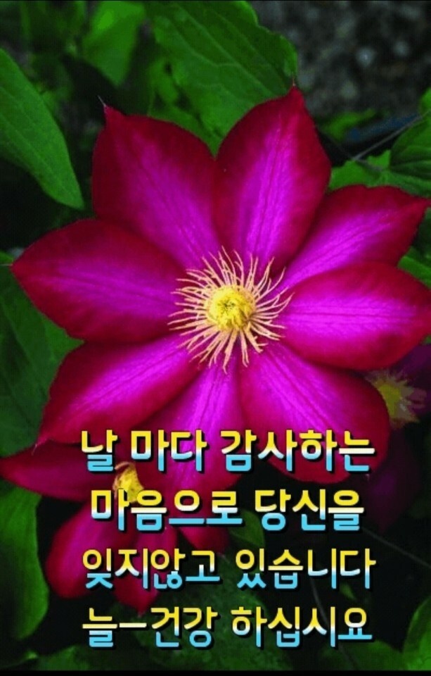 참 좋은 아침 ㅡ - ○ 아름다운/이미지 - 서울산이조아 참 좋은 아침 ㅡ