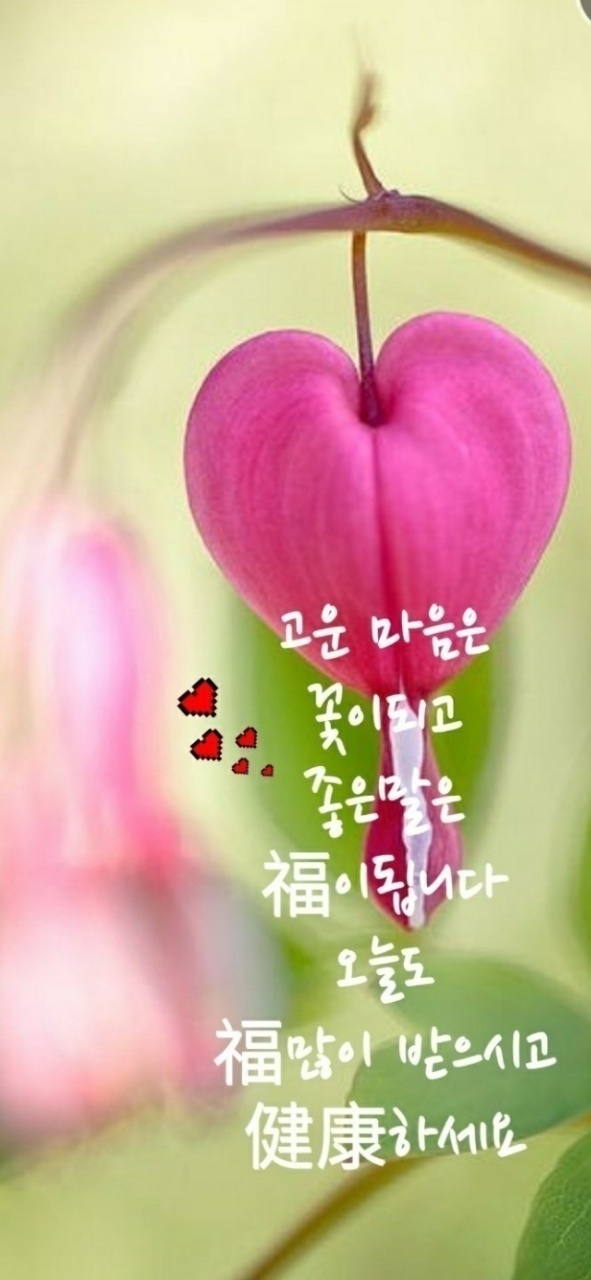 좋은 아침입니다ㅡ가을문턱ㅡ오늘도 당신에게 ㅡ큰 행운과 함께ㅡ - ○ 아름다운/이미지 - 서울산이조아 좋은 아침입니다ㅡ가을문턱ㅡ오늘도... 