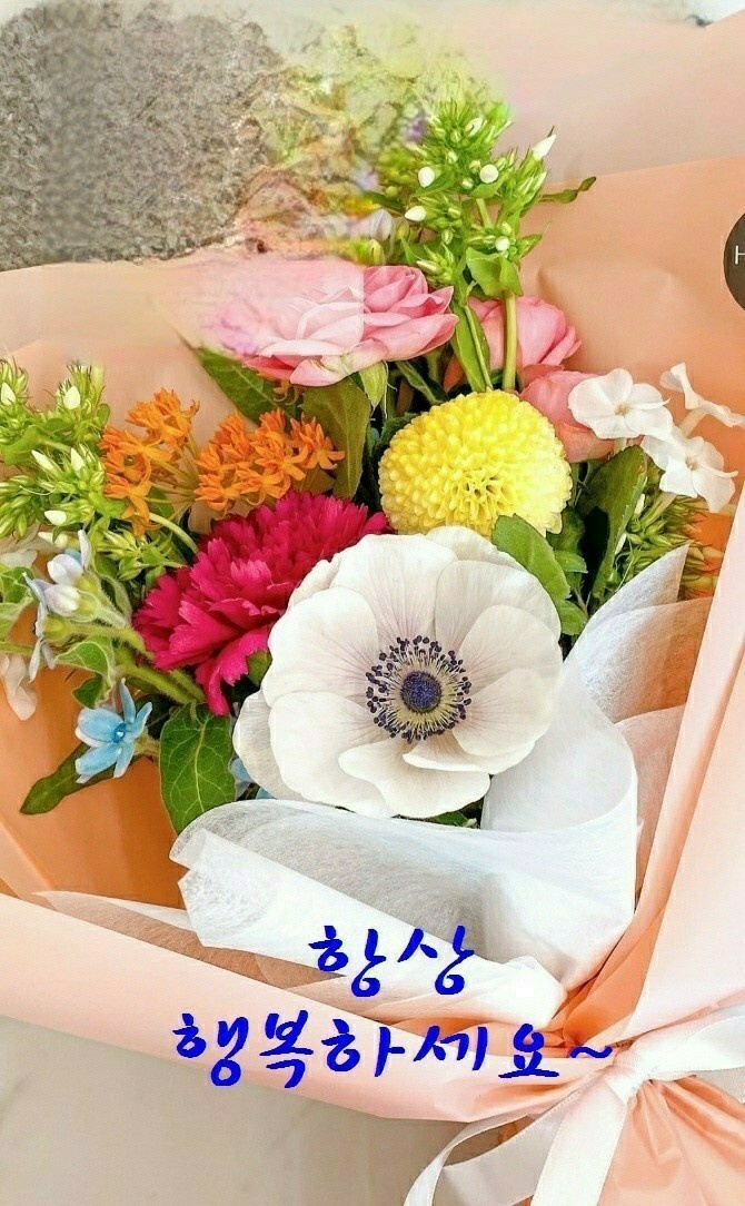 한중약국 이미지