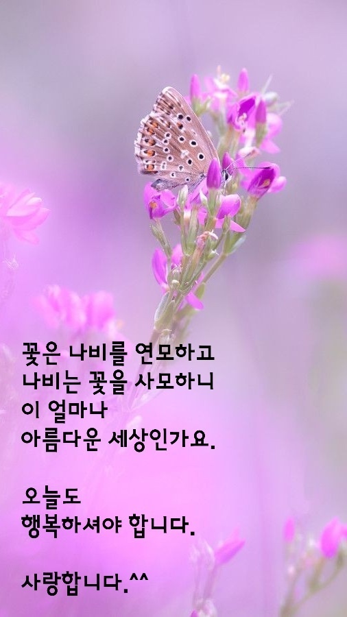 가을ㅡ행복한 오늘ㅡ행복안부를 전합니다ㅡ - ○ 아름다운/이미지 - 서울산이조아 가을ㅡ행복한 오늘ㅡ행복안부를 전합니다ㅡ