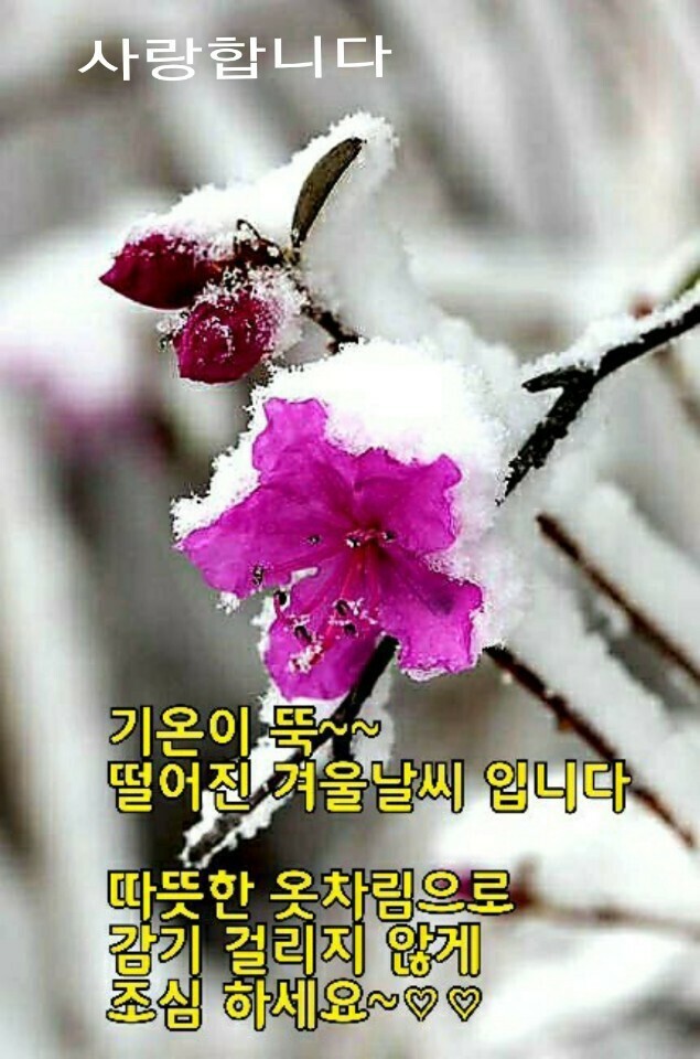 아침인사 이미지글 모음ㅡ - 영상 가요 팝 방 - 서울산이조아 아침인사 이미지글 모음ㅡ