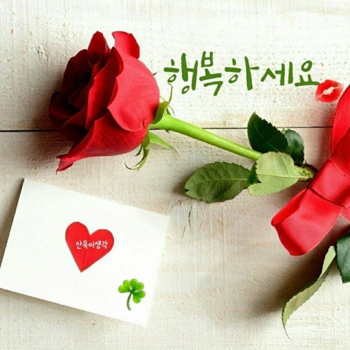 꽃시절 이미지