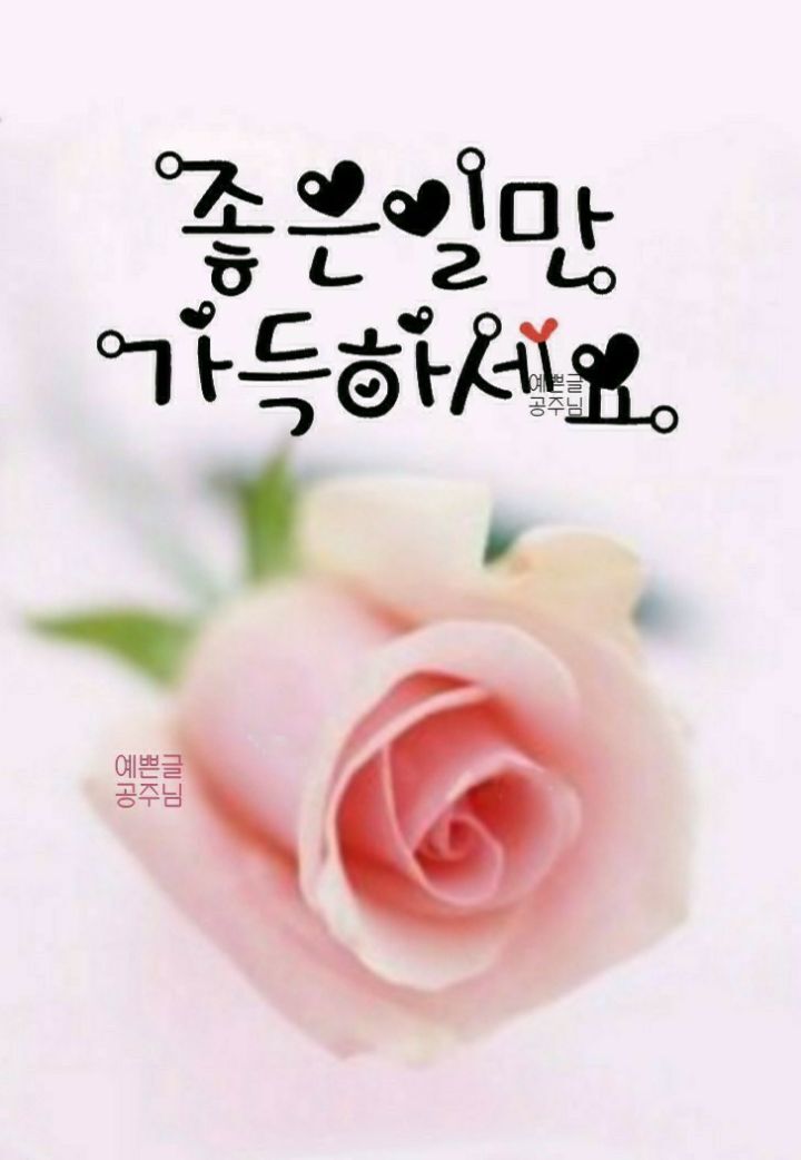 땡벌 이미지
