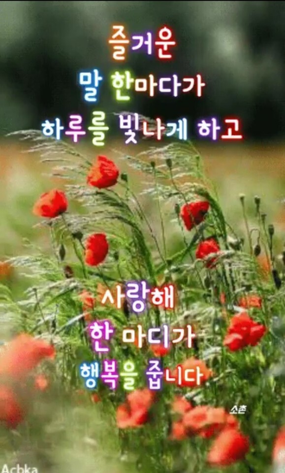 묻지마세요ㅡ김성환 노래ㅡ아름다운 꽃영상ㅡ좋은글 입니다ㅡ - 영상... 묻지마세요ㅡ김성환 노래ㅡ아름다운 꽃영상ㅡ좋은글 입니다ㅡ