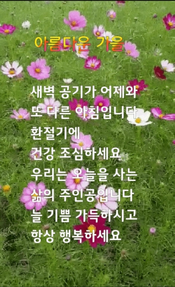 사랑을주는ㅡ사람이고 싶다ㅡ - ○ 아름다운/이미지 - 서울산이조아 사랑을주는ㅡ사람이고 싶다ㅡ