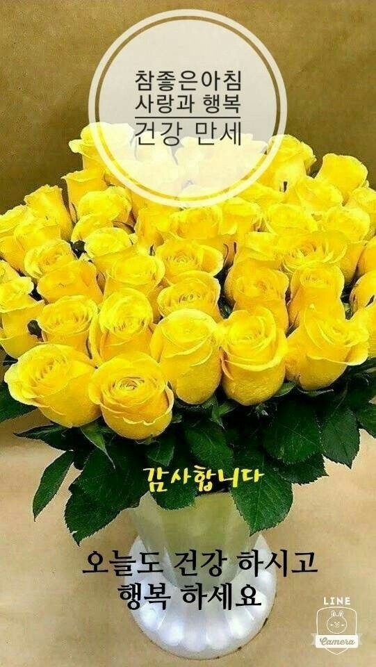 좋은아침 ㅡ최고로 좋은날ㅡ아름다운 이미지ㅡ노래한곡 올립니다... 서울산이조아 좋은아침 ㅡ최고로 좋은날ㅡ아름다운 이미지ㅡ노래한곡... 