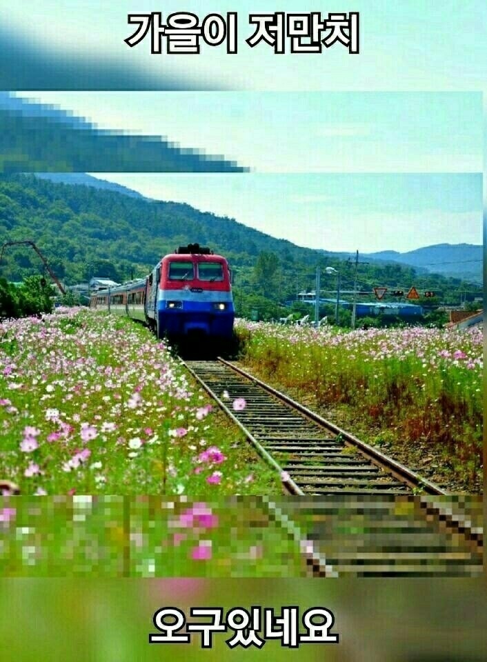 굿모닝해피데이 이미지