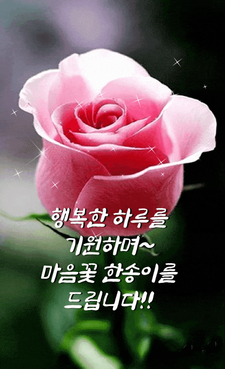 봄이오는길ㅡ당신의 행복도 함께 옵니다ㅡ아름다운 봄꽃 이미지ㅡ - ○ 아름다운/이미지 - 서울산이조아 봄이오는길ㅡ당신의 행복도 함께... 