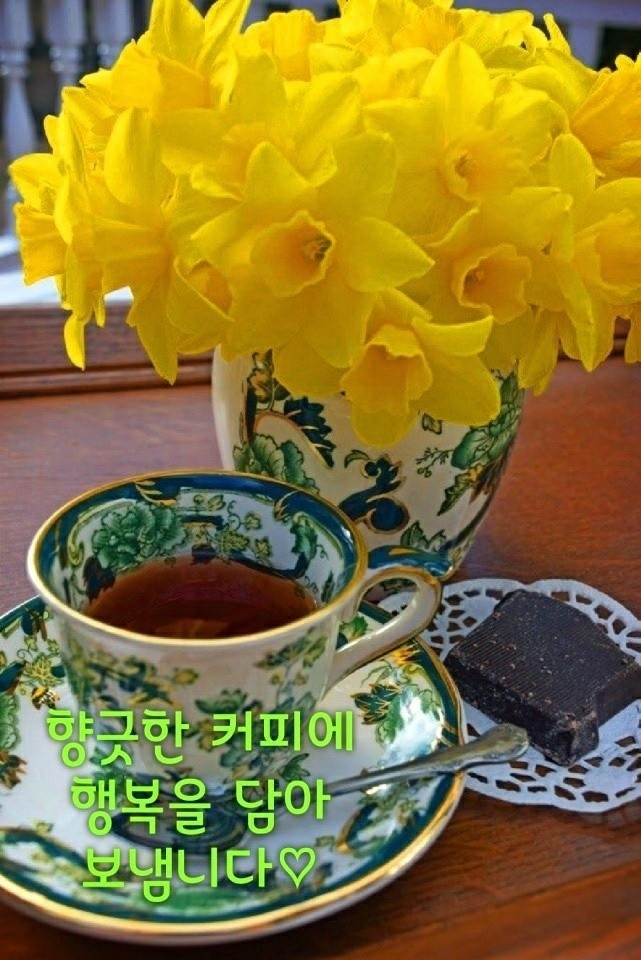 한중약국 이미지