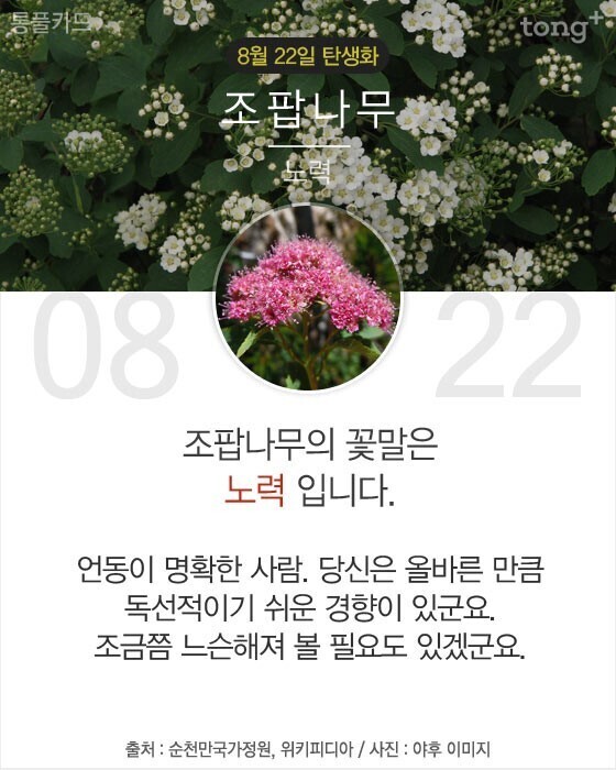 당신이 태어난 날엔ㅡ7월 ~9월ㅡ무슨 꽃이 피었나요?3 ㅡ태어난 달과 날자ㅡ날자별 탄생화 꽃말 ㅡ흰색은 행복한 본성ㅡ자주색은 첫사랑ㅡ... 