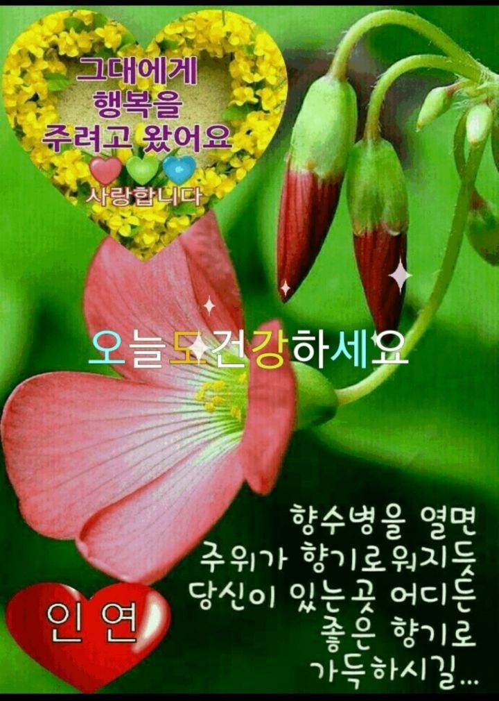 관*이* 이미지