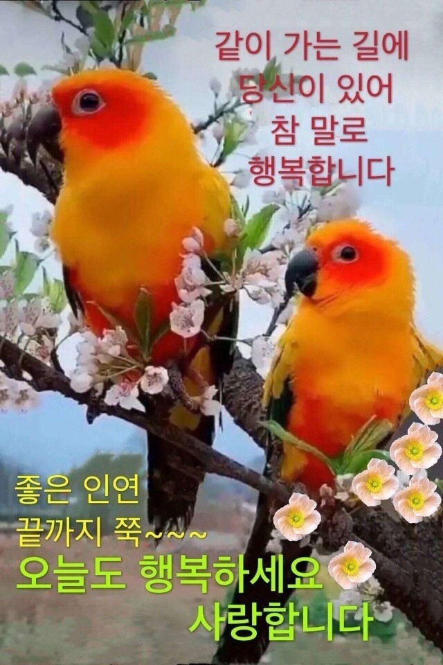 봄이오면ㅡ김 윤아 노래ㅡ아름다운 봄꽃 이미지ㅡ 가사첨부 합니다ㅡ ㅡ - 영상 가요 팝 방 - 서울산이조아 봄이오면ㅡ김 윤아 노래ㅡ아름다운... 