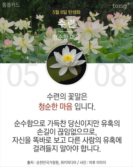 당신이 태어난 날엔ㅡ4월 ~6월ㅡ무슨 꽃이 피었나요?2ㅡ 태어난달과... 날엔ㅡ4월 ~6월ㅡ무슨 꽃이 피었나요?2ㅡ 태어난달과 날자ㅡ날자별 탄생화... 