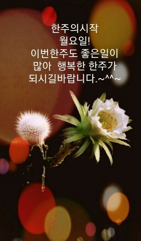 청춘의봄ㅡ 명국환 노래ㅡ아름다운 영상 글ㅡ이미지 영상입니다ㅡ... 청춘의봄ㅡ 명국환 노래ㅡ아름다운 영상 글ㅡ이미지 영상입니다ㅡ