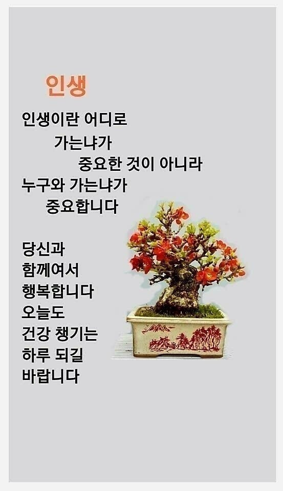 친구정 이미지