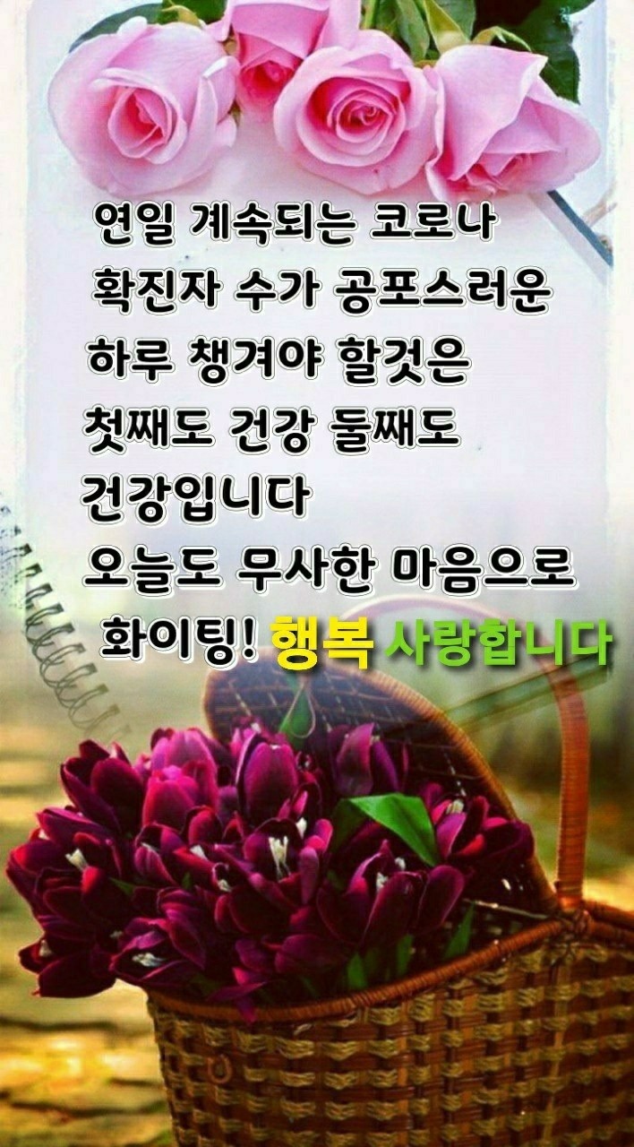 11월 마지막 주말ㅡ여유로움 이 함께하는 ㅡ행복한 주말 보내세요 ㅡ - ○ 아름다운/이미지 - 서울산이조아 11월 마지막 주말ㅡ여유로움 이... 