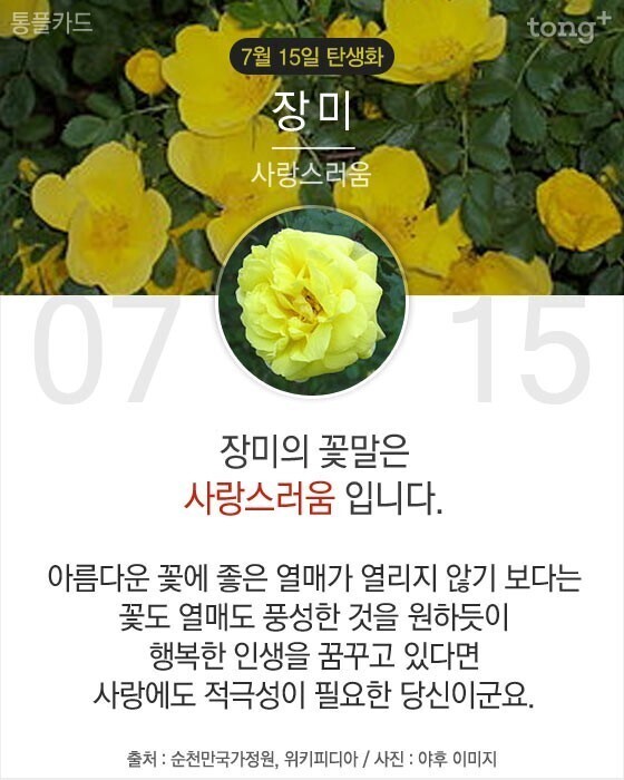 당신이 태어난 날엔ㅡ7월 ~9월ㅡ무슨 꽃이 피었나요?3 ㅡ태어난 달과... 날엔ㅡ7월 ~9월ㅡ무슨 꽃이 피었나요?3 ㅡ태어난 달과 날자ㅡ날자별... 