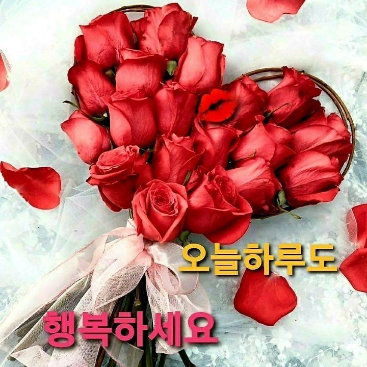 한중약국 이미지