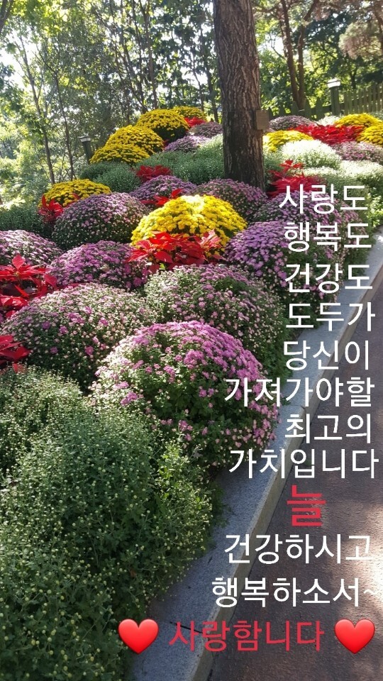 ㅡ 당신은 소중한 인연 입니다ㅡ - 영상 가요 팝 방 - 서울산이조아... 해줘요 ㅡ김 수희노래ㅡ아름 다운 단풍 영상 ㅡ 당신은 소중한 인연 입니다ㅡ