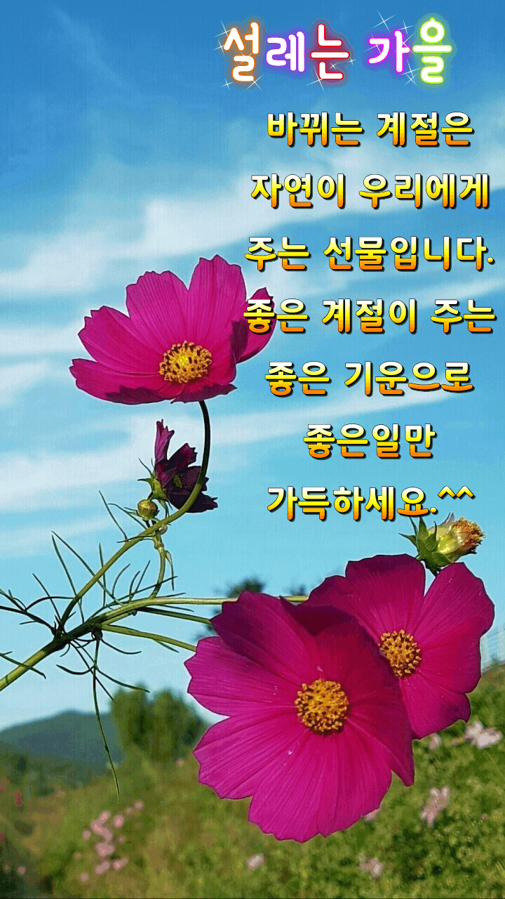 9월 에도기쁘고ㅡ행복할 거라고 ㅡ가을엔 우리ㅡ꽃길만 걸어요ㅡ - ○ 아름다운/이미지 - 서울산이조아 9월 에도기쁘고ㅡ행복할 거라고 ㅡ가을엔... 