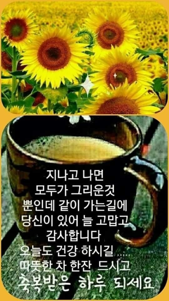 당신은 소중한 인연 입니다ㅡ - 영상 가요 팝 방 - 서울산이조아 11월의... ㅡ김 수희노래ㅡ아름 다운 단풍 영상 ㅡ 당신은 소중한 인연 입니다ㅡ