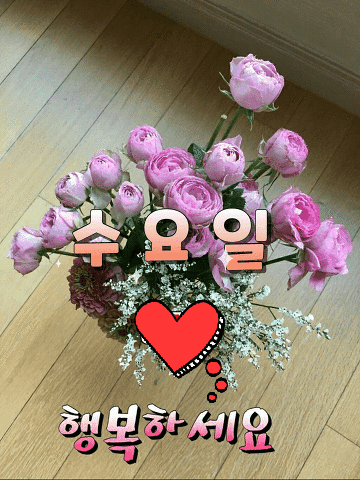 행복한 수요일 사진
