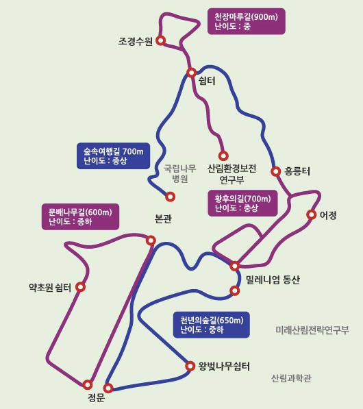 도심속의하루 이미지
