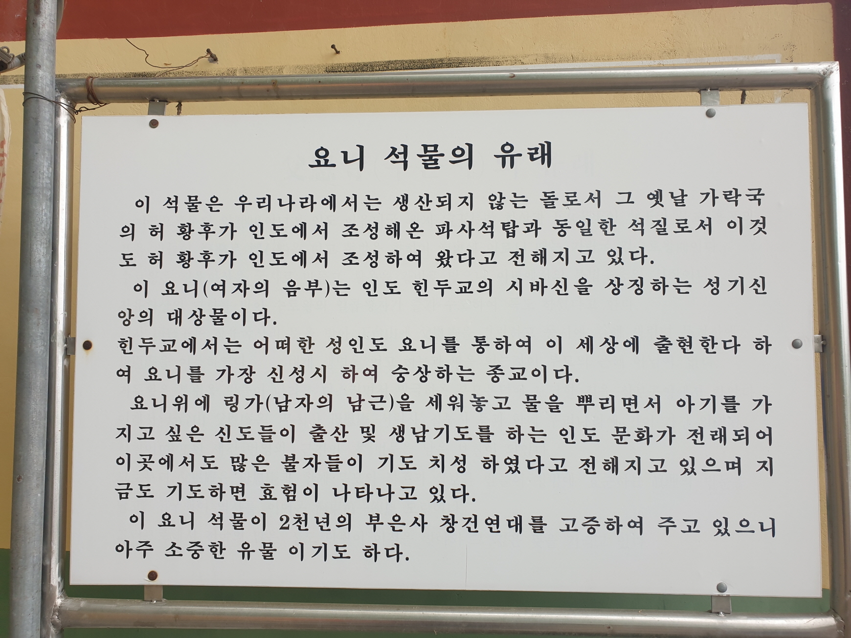 요니 이미지