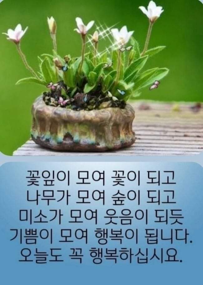 소꼽친구 이미지