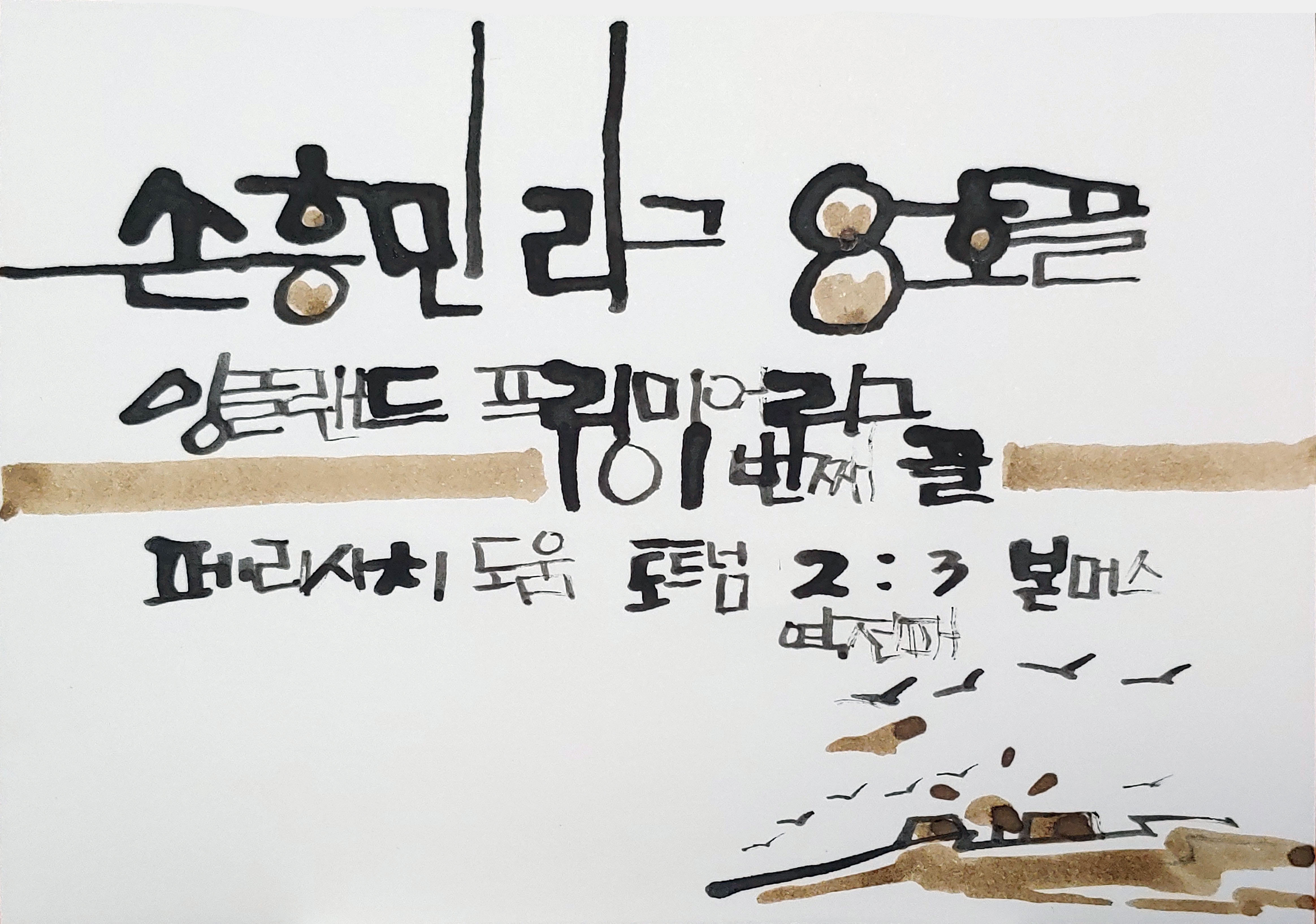 경포8호 이미지