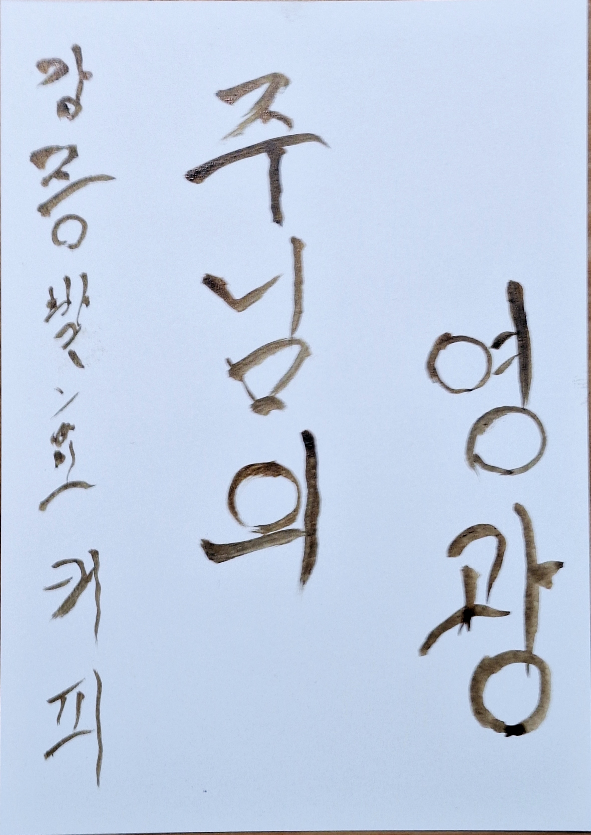 강릉발효커피 이미지