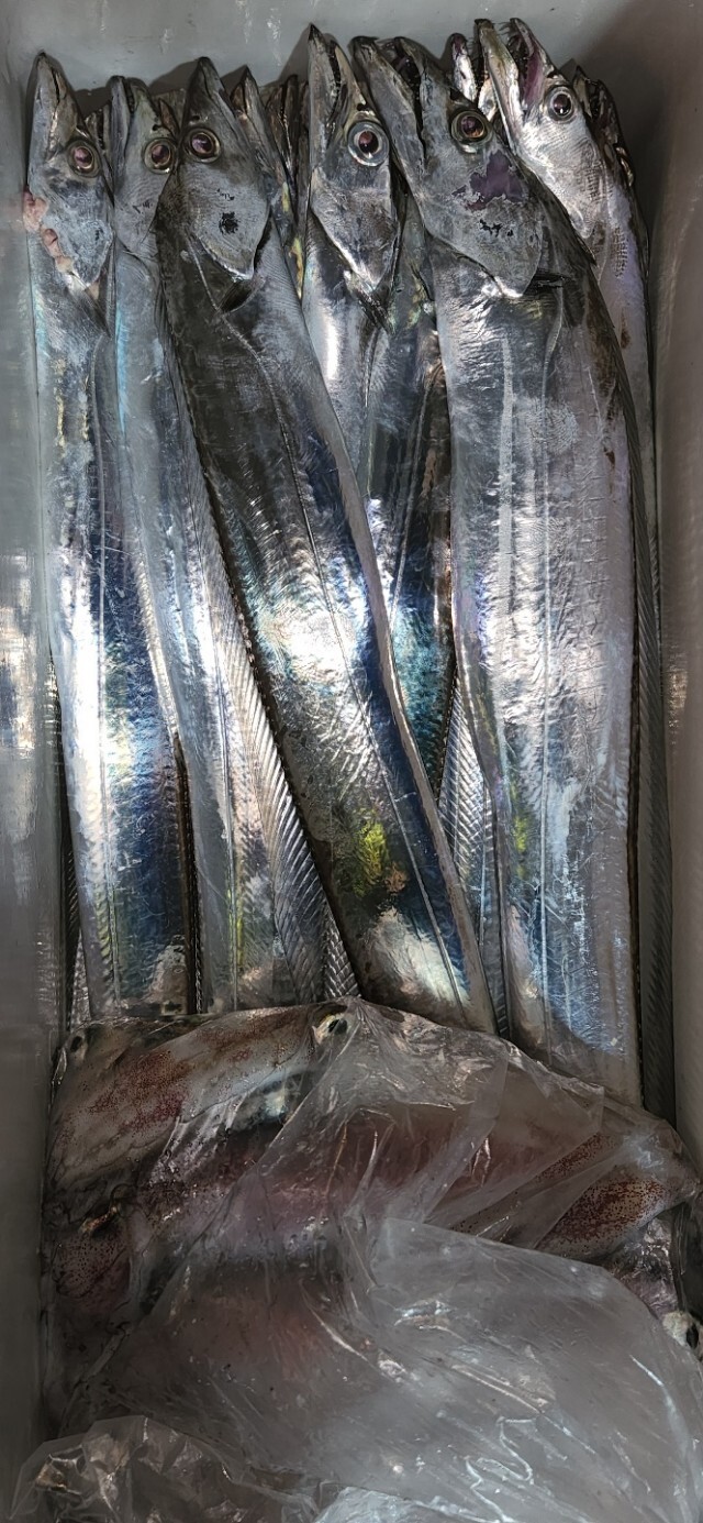 삼일낚시 이미지