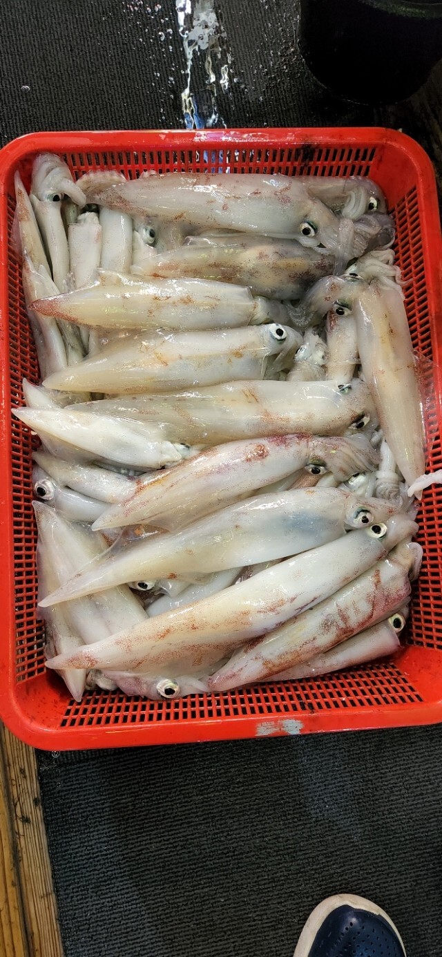 삼일낚시 이미지