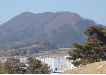 고향우시장 이미지