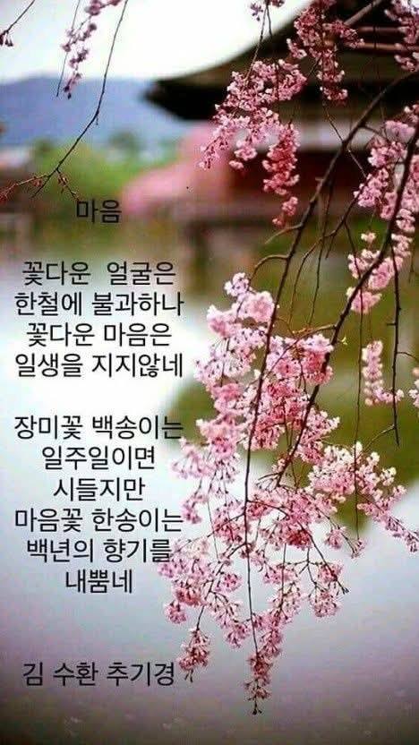 안수 이미지