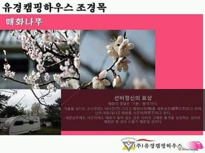 유경 이미지