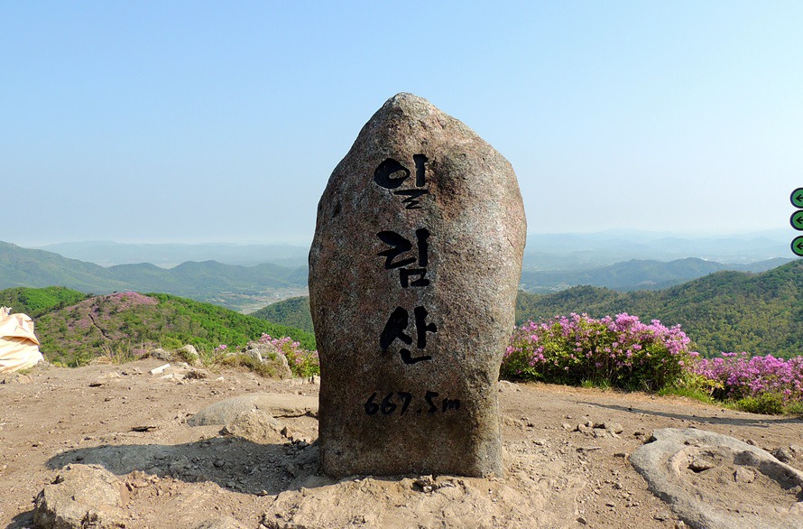 일림 이미지