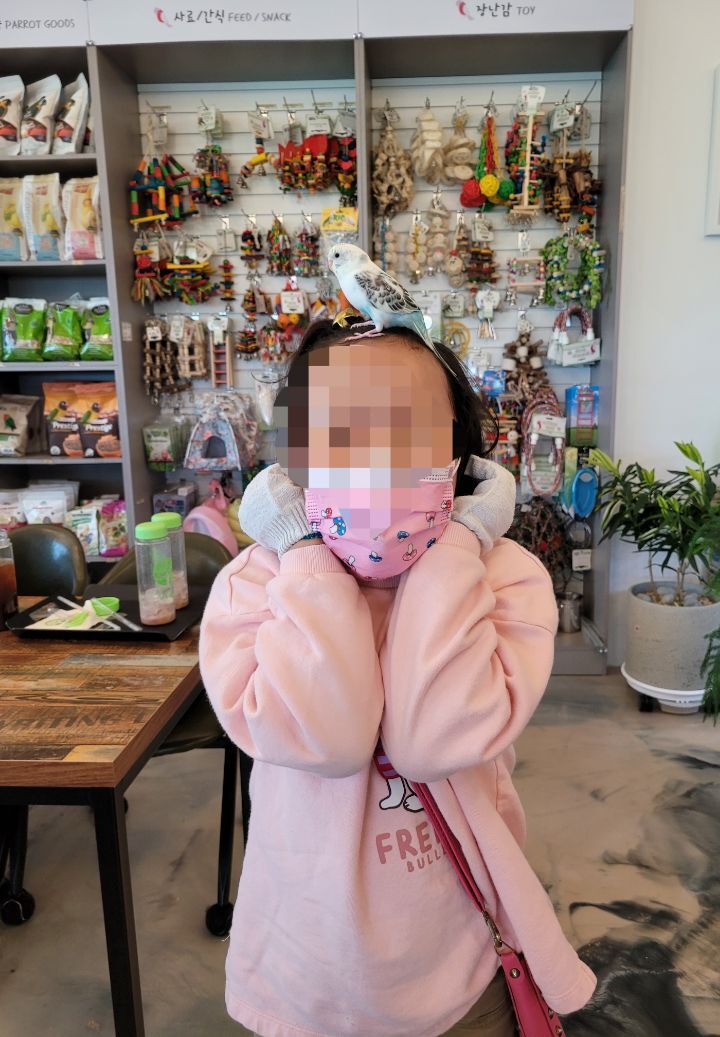 카페오늘 이미지