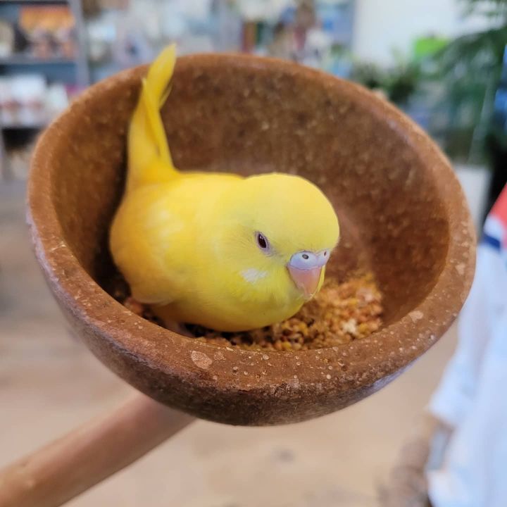 카페오늘 이미지