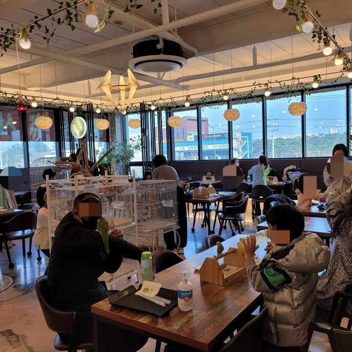 카페오늘 이미지