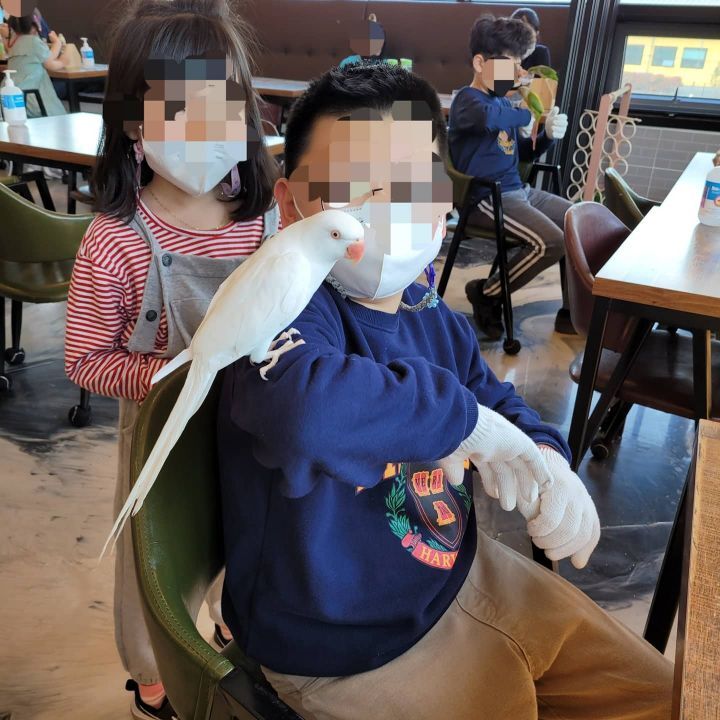 카페오늘 이미지