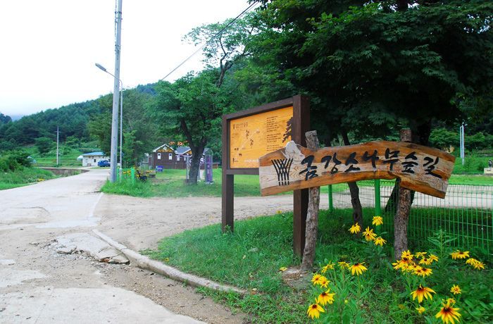 (주)금강송 이미지