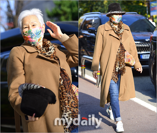 대신모자 이미지