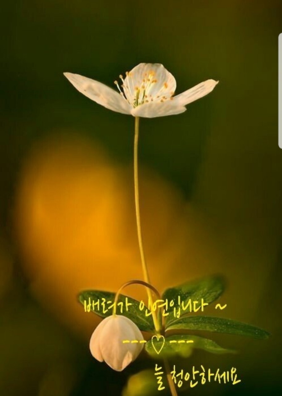 매일좋은날 이미지
