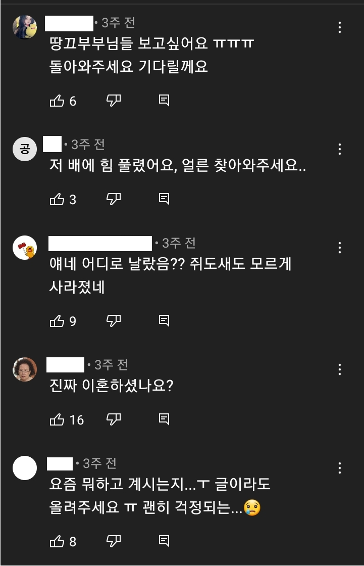 구독자 300만명이 넘는데 1년 이상 업로드를 하지 않는 유튜버 | 인스티즈