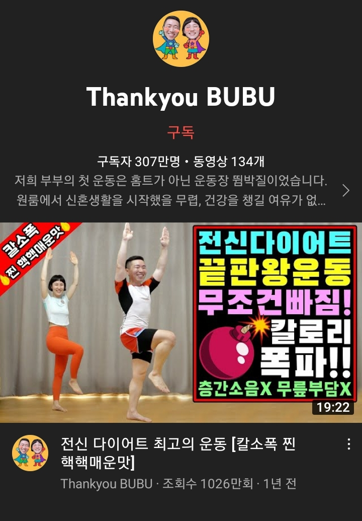 구독자 300만명이 넘는데 1년 이상 업로드를 하지 않는 유튜버 | 인스티즈