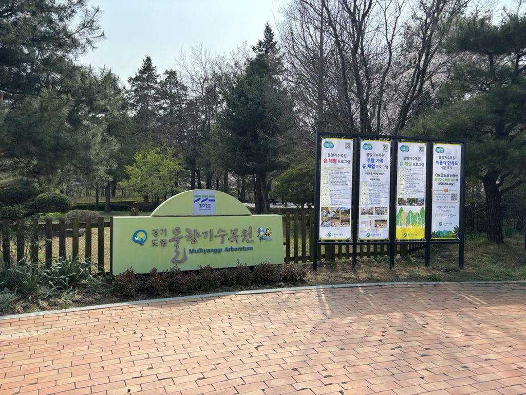 물향기유치원 이미지