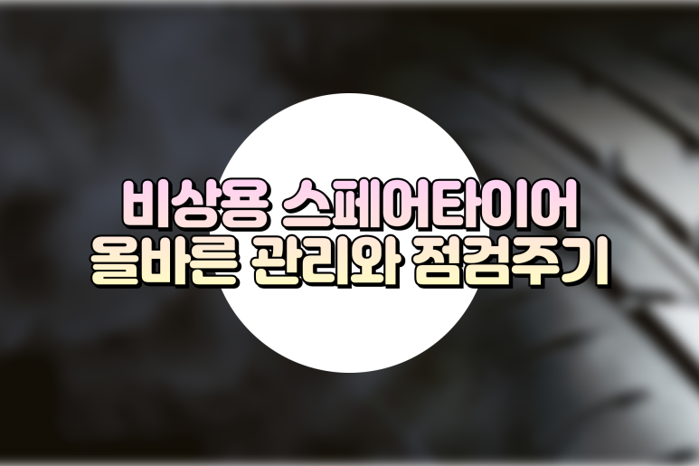 비상렌트카 이미지