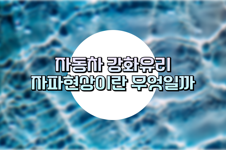 강화자동차 이미지