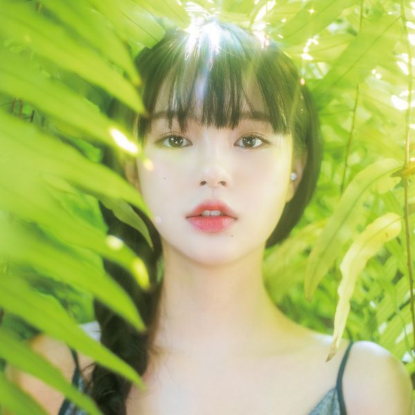 에스티메이트 유한회사 이미지